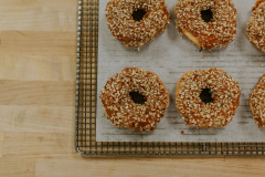 donut-1 Holt's Bakery